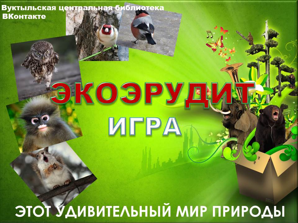 аф