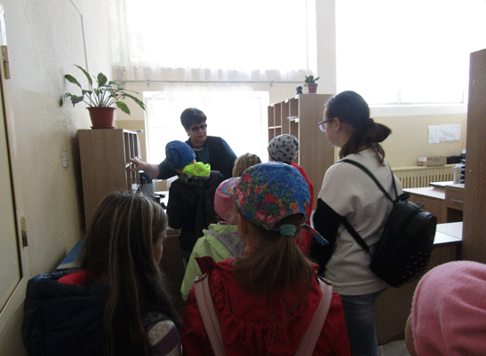 IMG 7767
