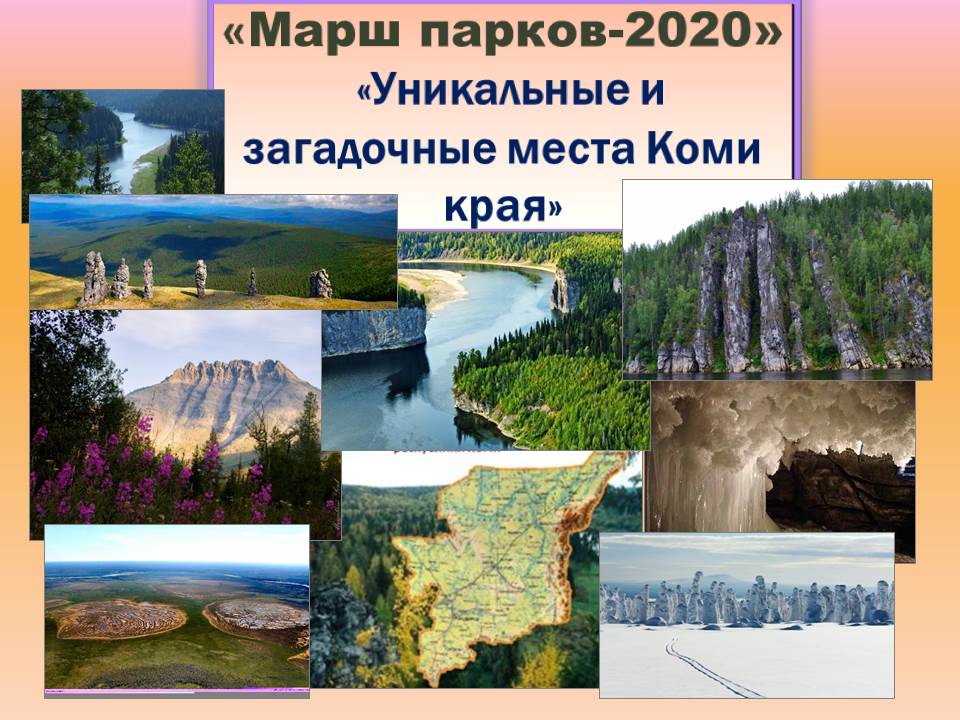 афиша