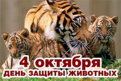 заставка на начало