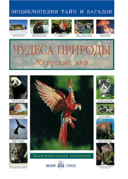чудеса природы