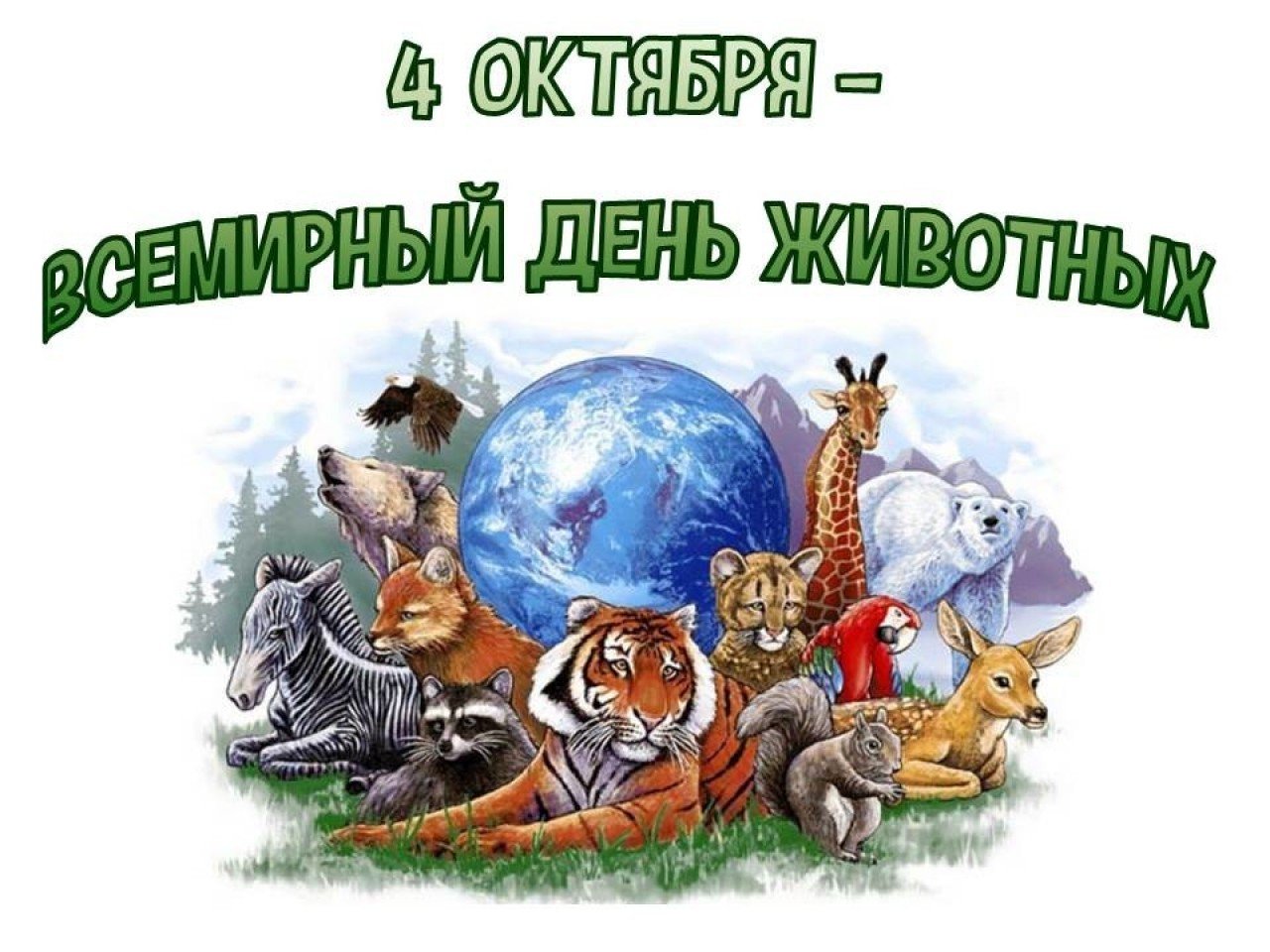 6e69e479 6d4a 40d3 8b43 fd62ed7f4843