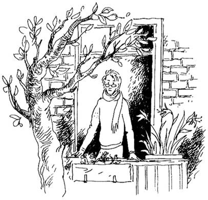 Рисунок5